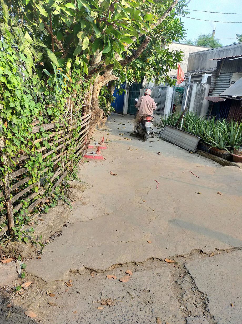 Bán đất đường An Phú Tây - Hưng Long huyện Bình Chánh