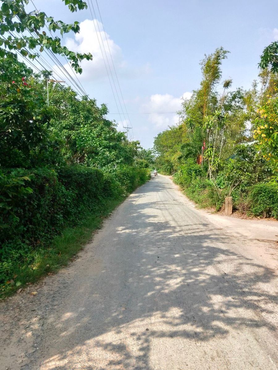 Bán đất xã Phú Long, Huyện Bình Đại, tỉnh Bến Tre