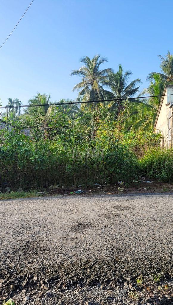 Bán đất đường Lý Thường Kiệt, Phường 2, Thành phố Vĩnh Long, tỉnh Vĩnh Long