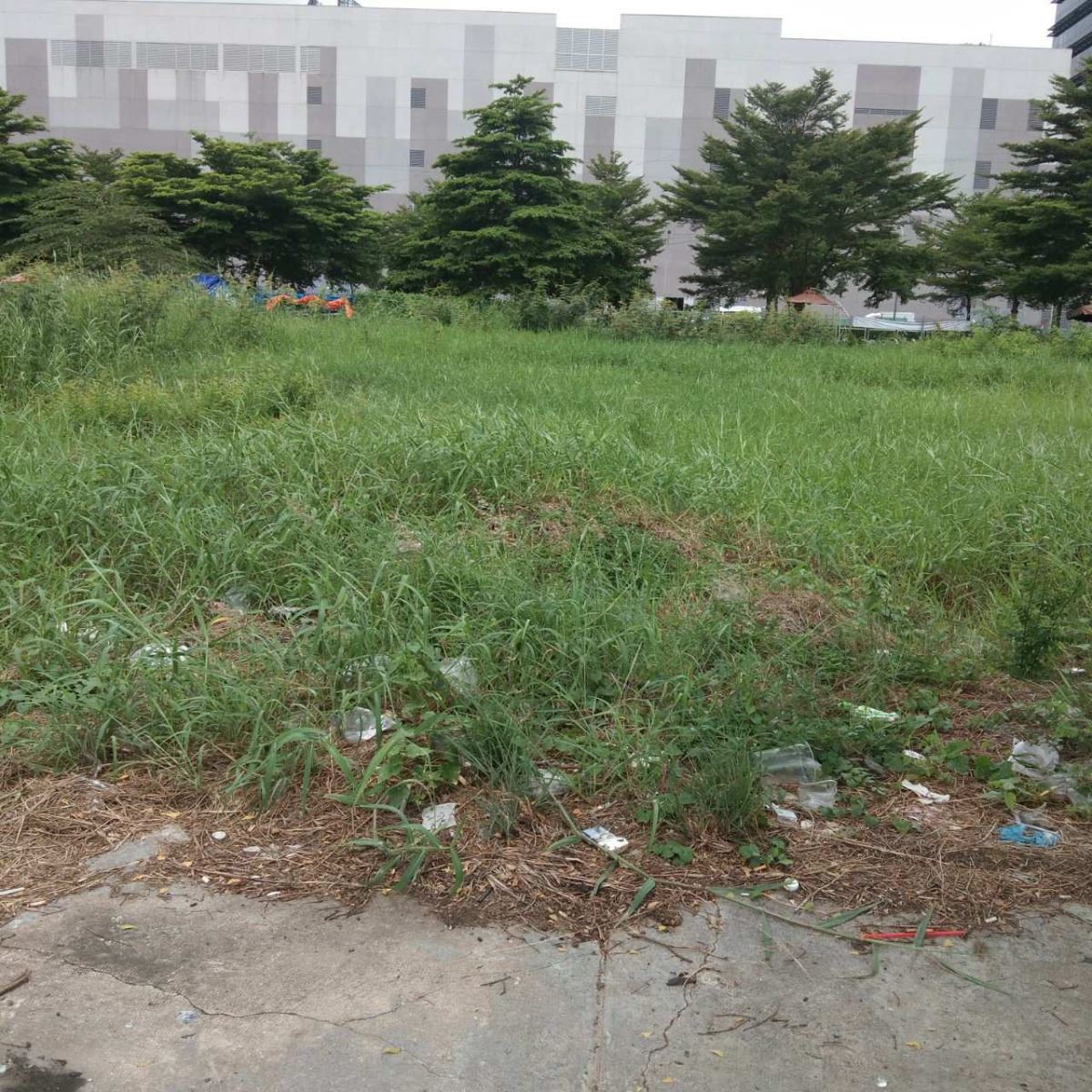 Bán đất đường Nguyễn Văn Linh Quận 7