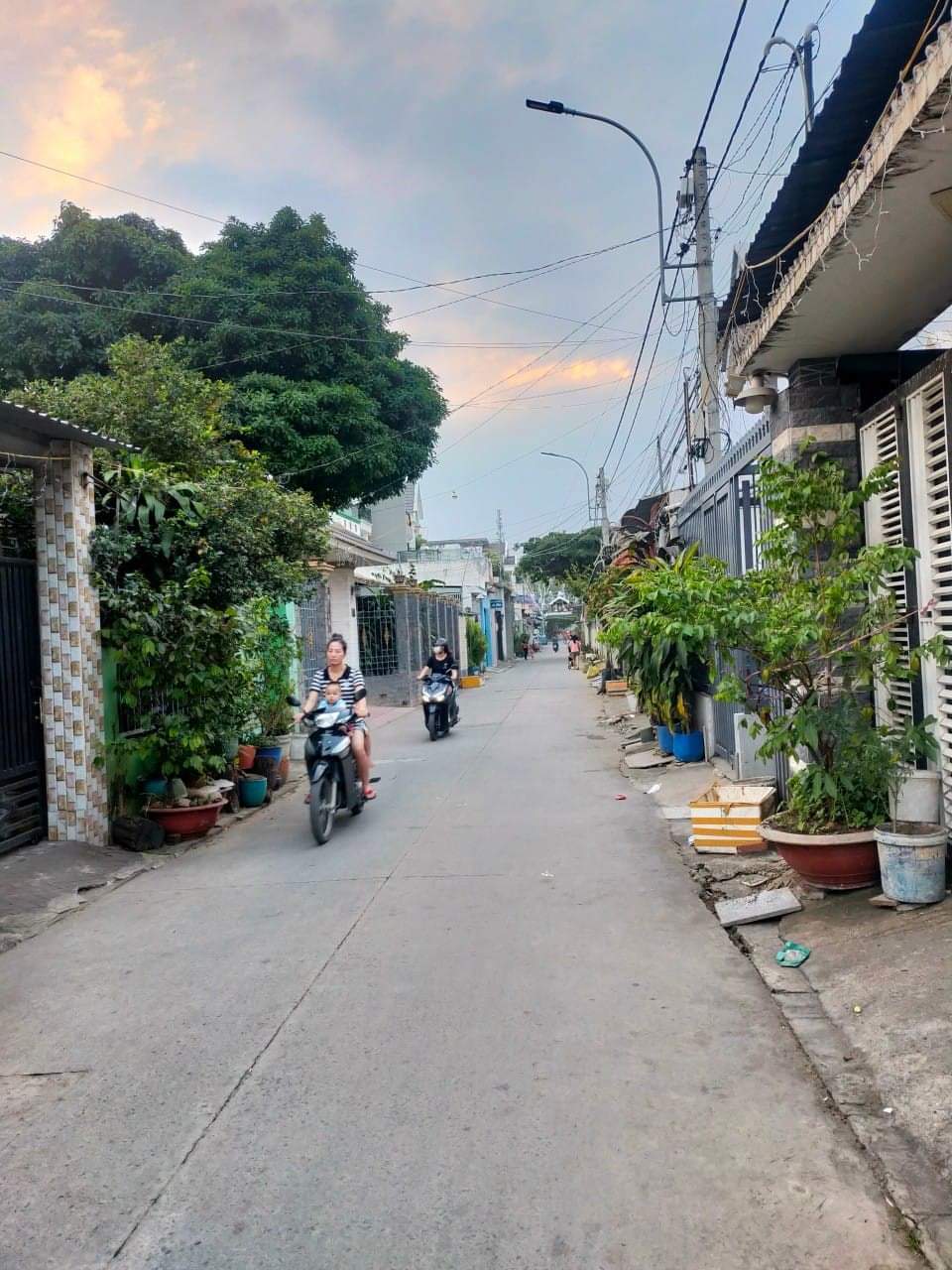 Bán đất đường Phan Đạt Đức Thành phố Thủ Đức