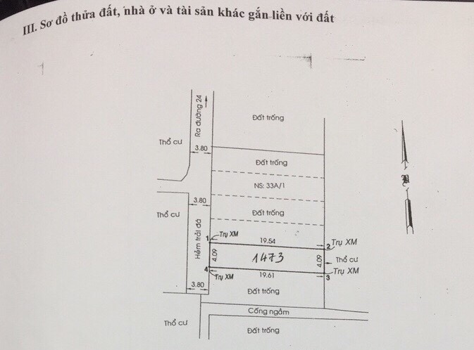 Bán đất đường số 24 Thành phố Thủ Đức