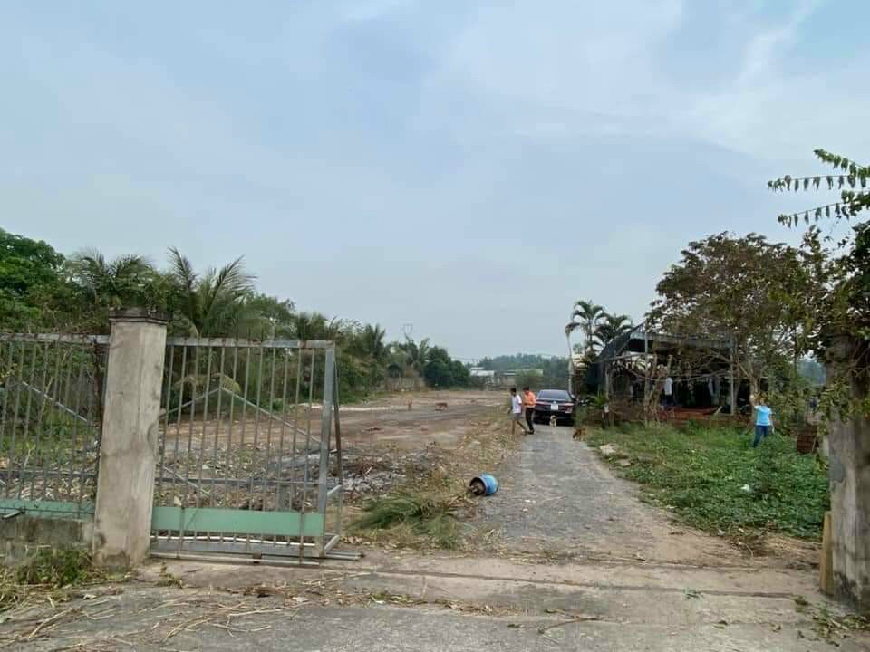 Bán đất đường Tân Long, xã Tân Nhựt, huyện Bình Chánh
