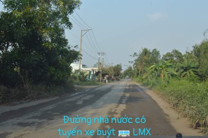 Bán đất đường Vườn Thơm huyện Bình Chánh