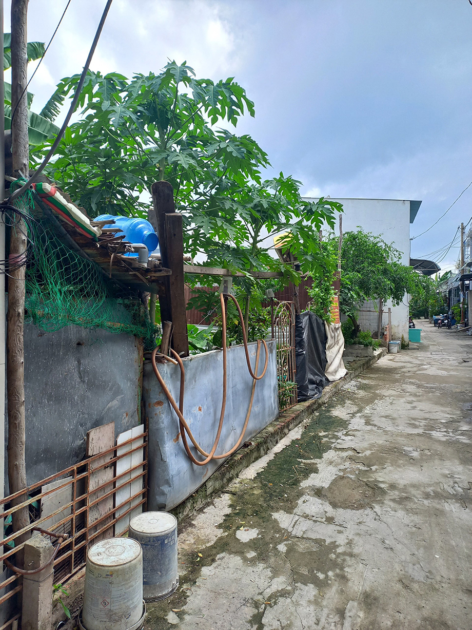 Bán đất đường Liên Ấp 2 3 huyện Bình Chánh