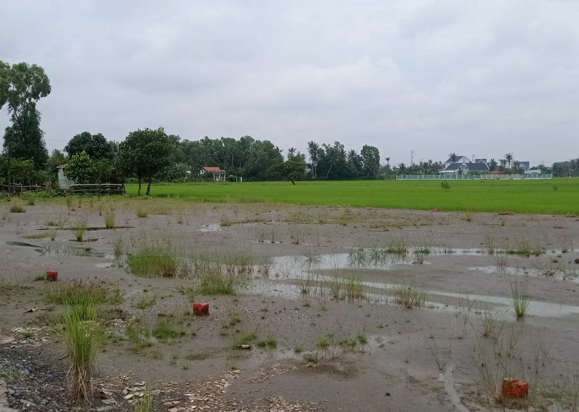 Bán đất xã Mỹ Lệ tỉnh Long An