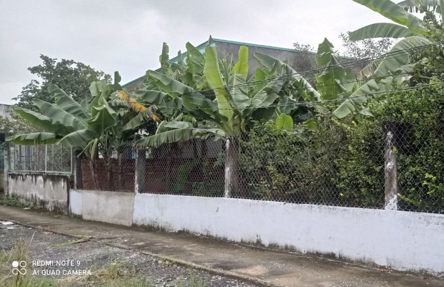 Bán đất xã Mỹ Lệ tỉnh Long An
