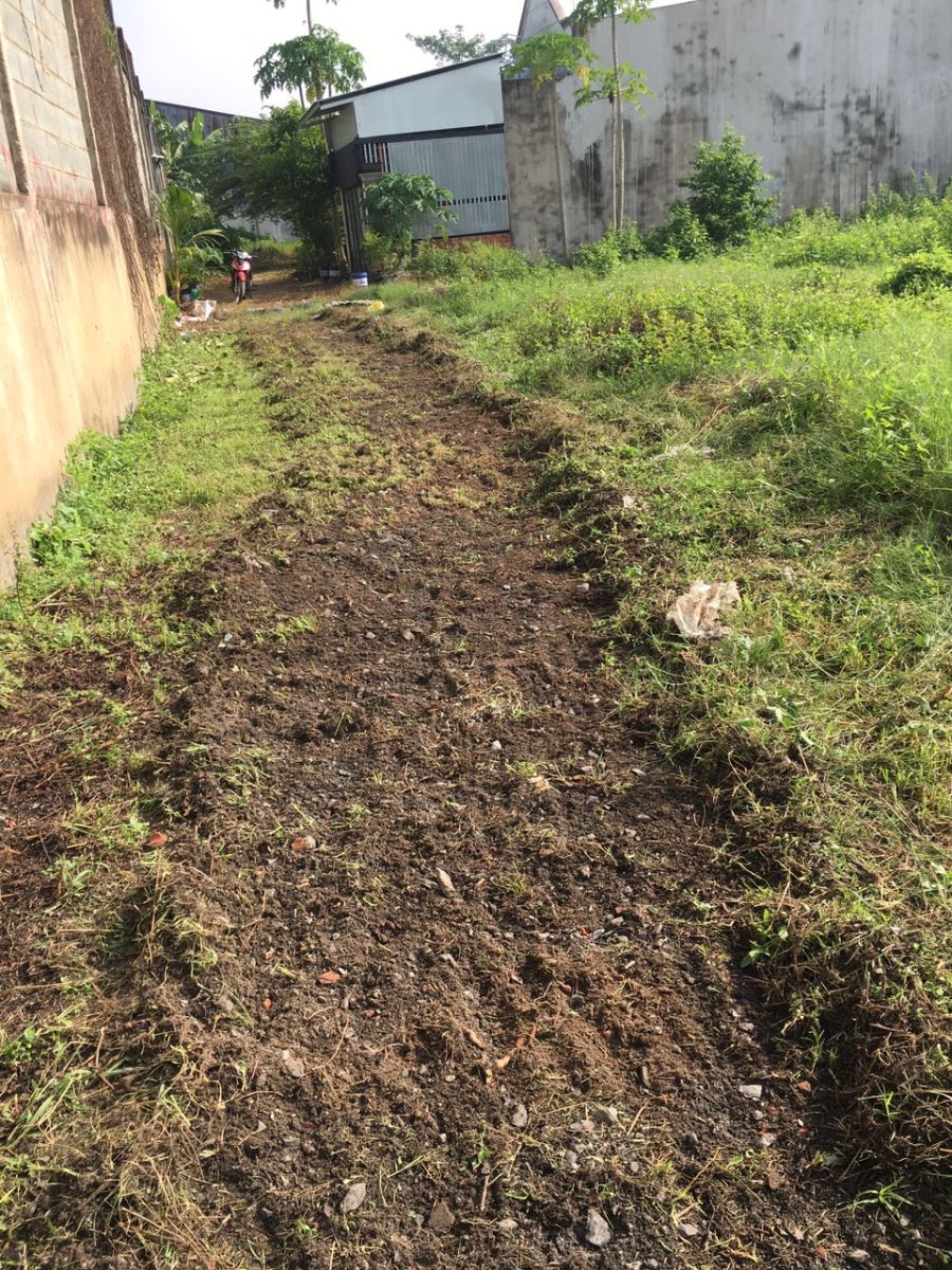 Bán đất phường An Phú tỉnh Bình Dương