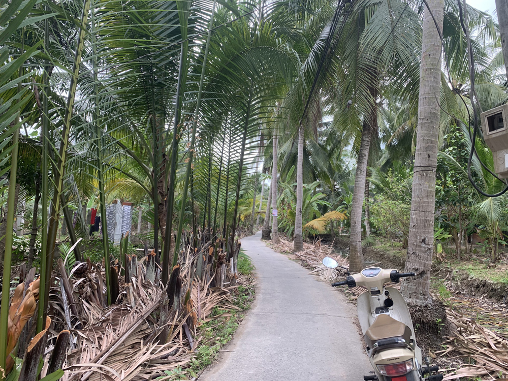 Bán đất thị trấn Châu Thành tỉnh Bến Tre