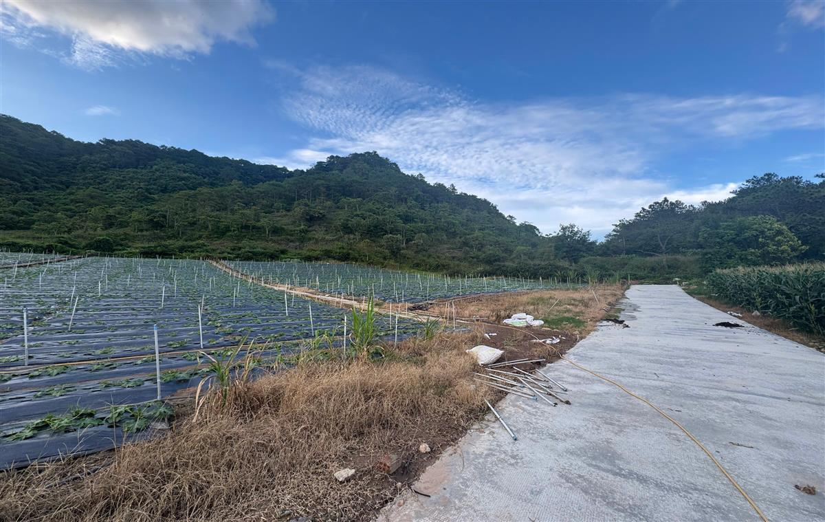 Bán đất Thị trấn Thạnh Mỹ, Huyện Đơn Dương, tỉnh Lâm Đồng