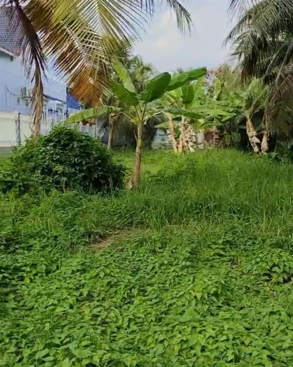 Bán đất xã An Khánh tỉnh Bến Tre