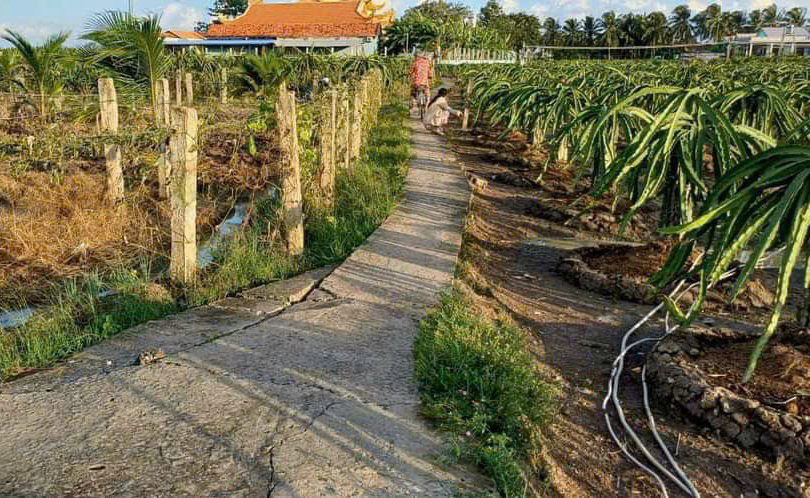 Bán đất xã An Lục Long, Huyện Châu Thành, tỉnh Long An