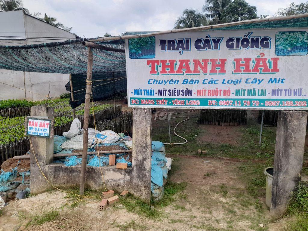 Bán đất xã An Phước, Huyện Mang Thít, tỉnh Vĩnh Long