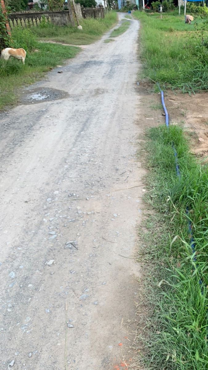 Bán đất xã Đức Hòa Thượng tỉnh Long An
