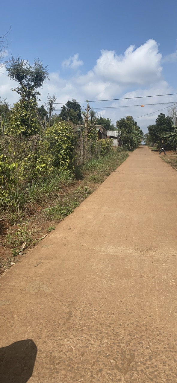Bán đất xã Ea Drông tỉnh Đắk Lắk