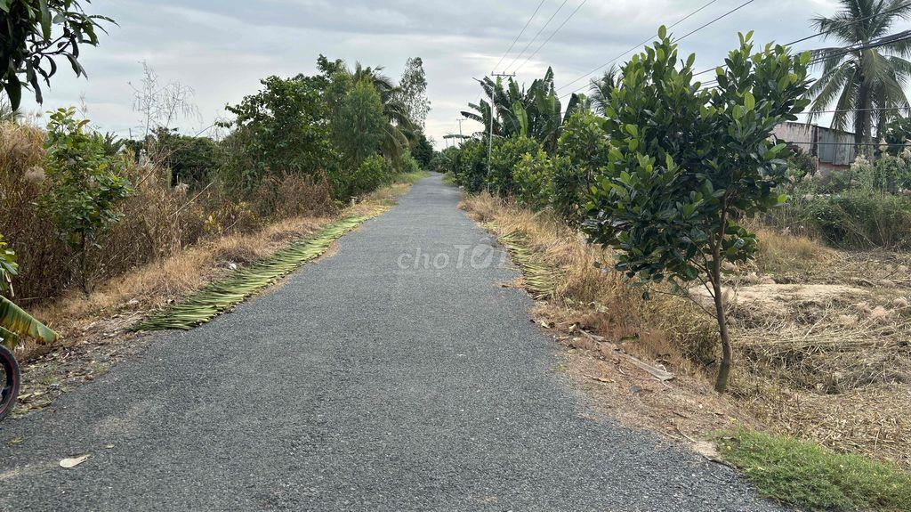 Bán đất xã Gáo Giồng tỉnh Đồng Tháp