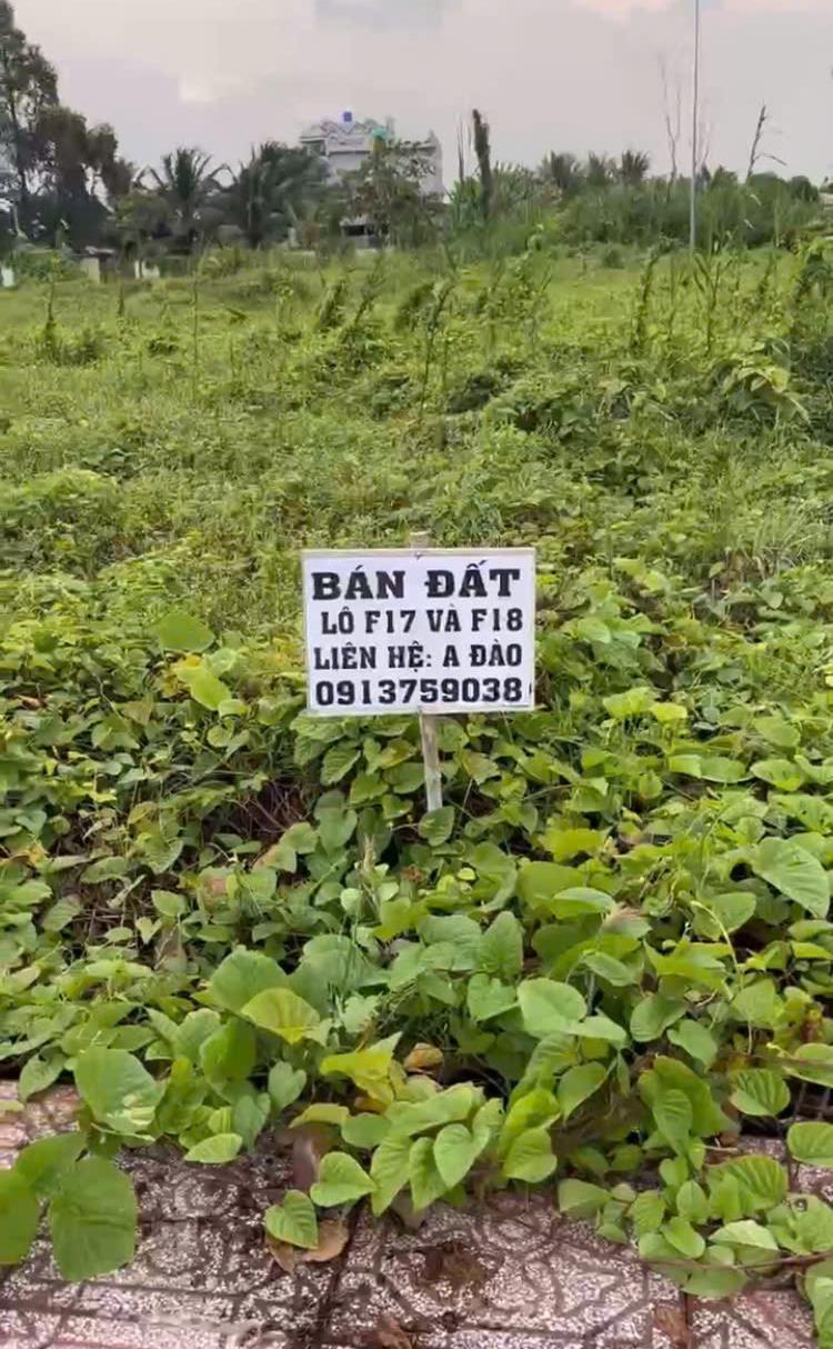 Bán đất xã Hựu Thạnh, Huyện Đức Hòa, tỉnh Long An