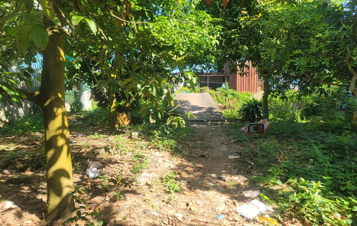 Bán đất xã Khánh Bình tỉnh An Giang