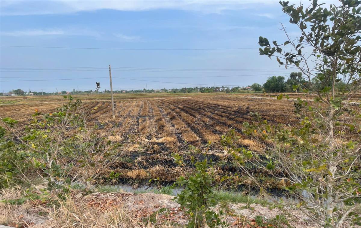 Bán đất xã Long Thạnh, Huyện Thủ Thừa, tỉnh Long An