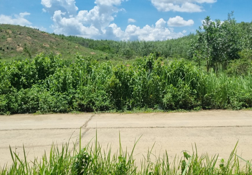 Bán đất xã Madaguoi tỉnh Lâm Đồng