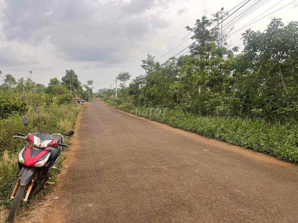Bán đất xã Nam Bình, Huyện Đắk Song, tỉnh Đắk Nông