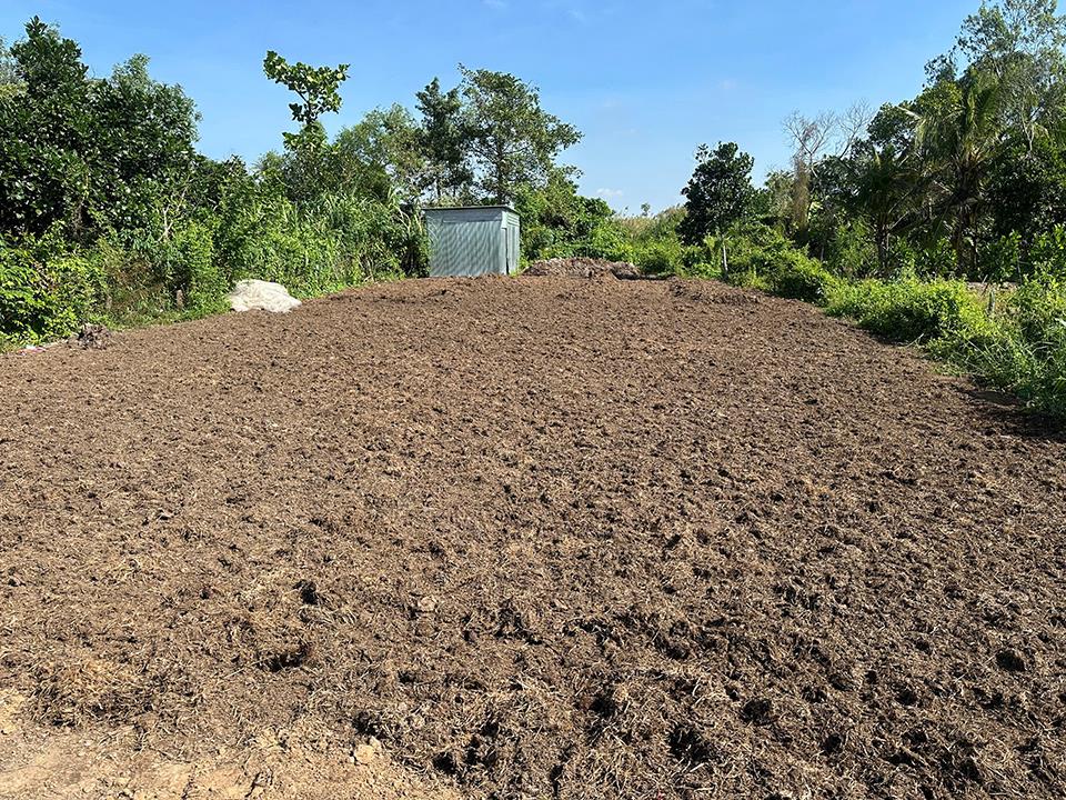 Bán đất xã Phong Hòa tỉnh Đồng Tháp
