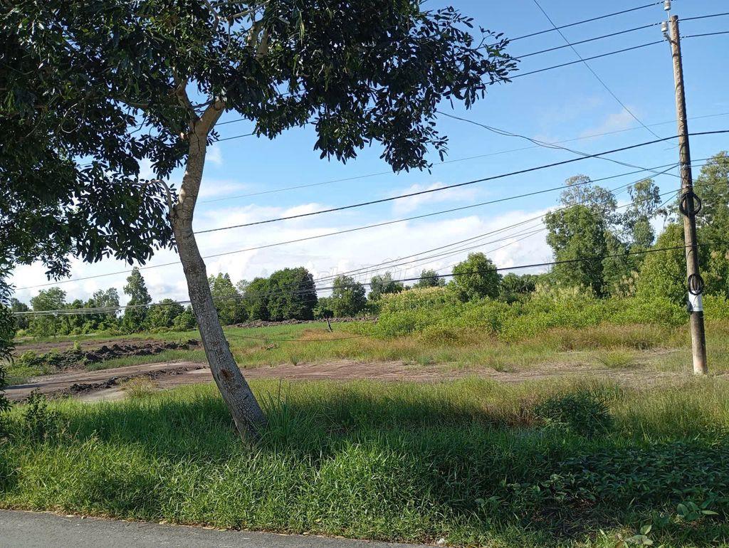 Bán đất xã Phong Thạnh Tây, Thị xã Giá Rai, tỉnh Bạc Liêu