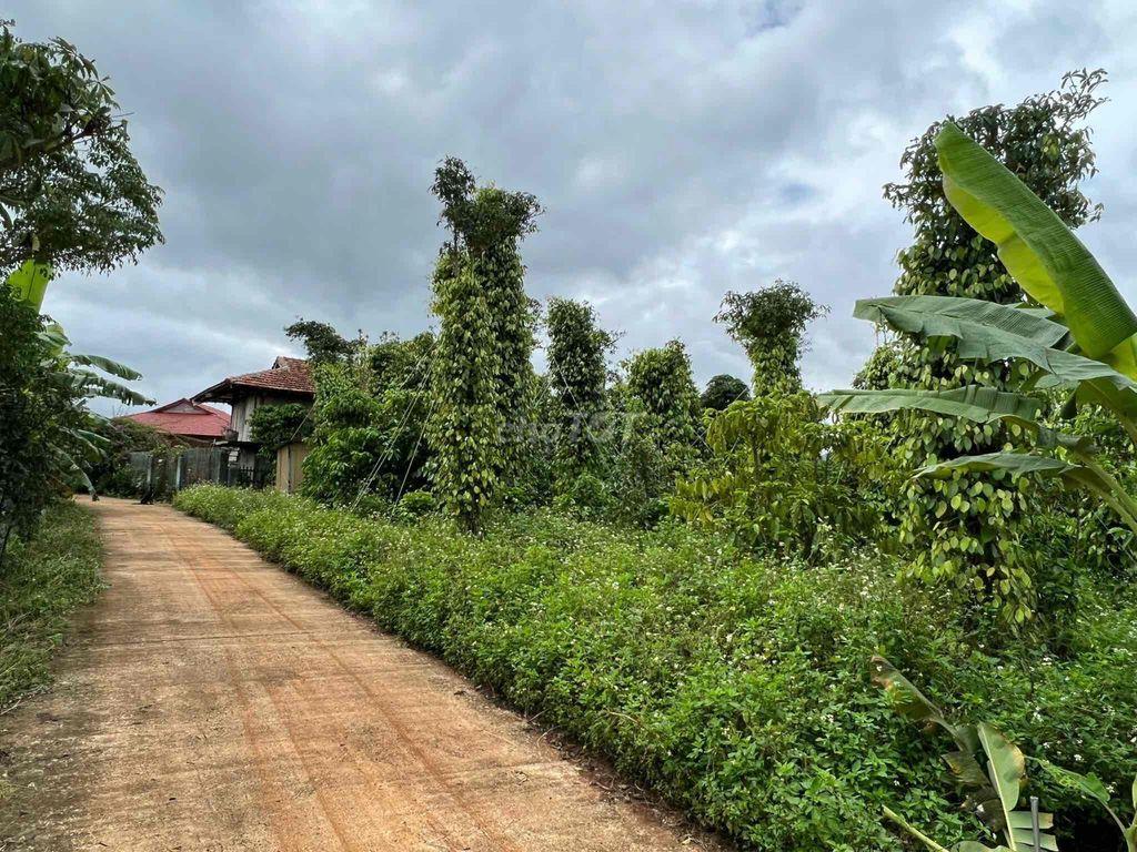 Bán đất xã Quảng Khê, Huyện Đắk Glong, tỉnh Đắk Nông