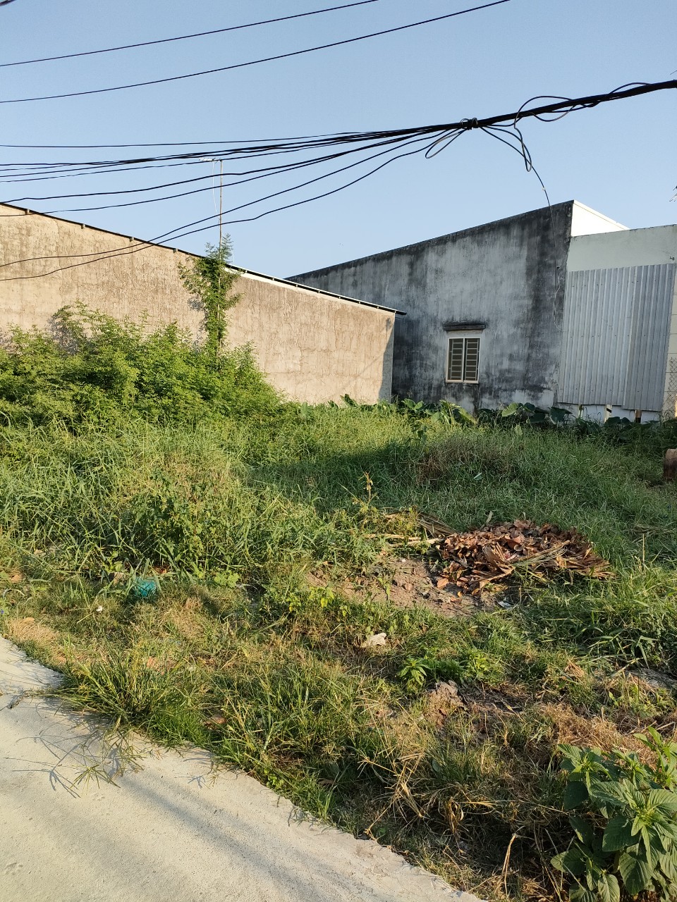 Bán đất xã Tân Bửu tỉnh Long An
