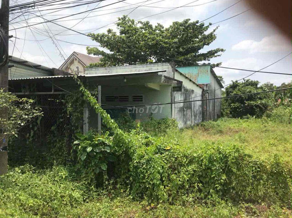 Bán đất xã Tân Hạnh tỉnh Vĩnh Long