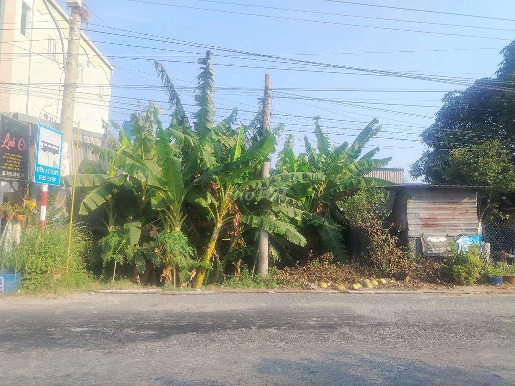 Bán đất xã Tân Hòa tỉnh An Giang