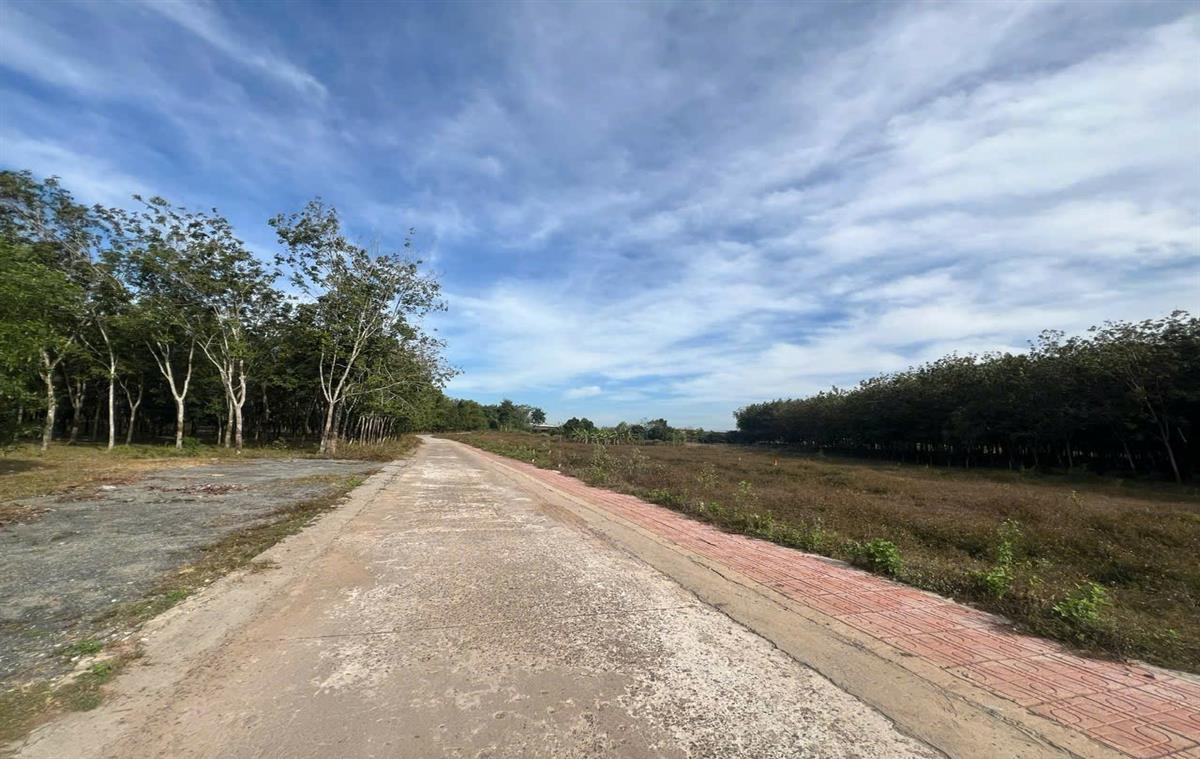 Bán đất xã Tân Quan tỉnh Bình Phước