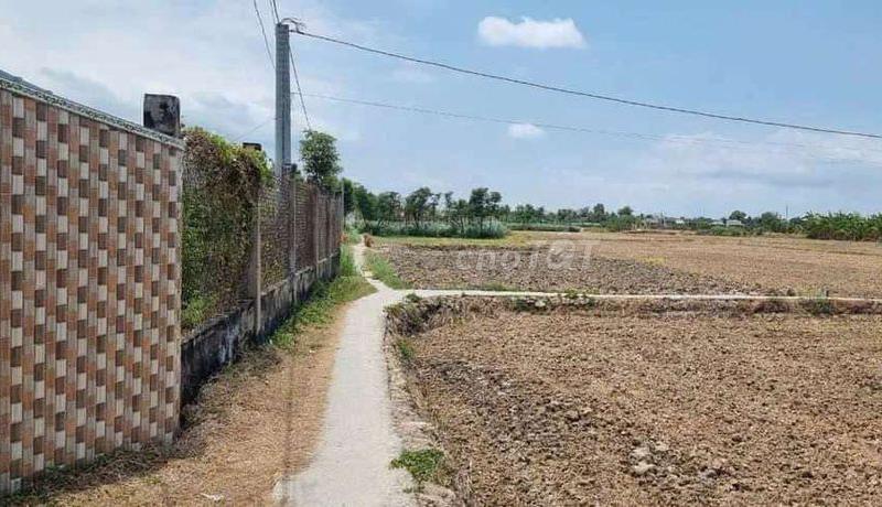 Bán đất xã Tân Tây tỉnh Tiền Giang