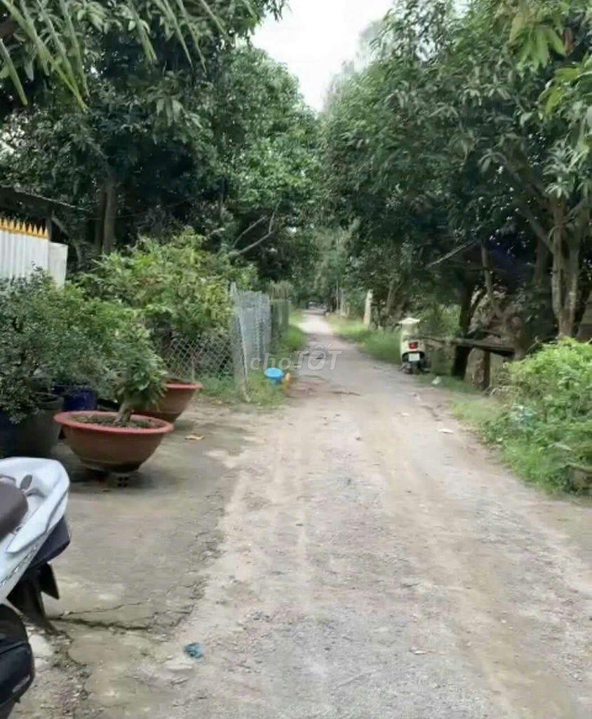 Bán đất xã Thạnh Mỹ Tây, Huyện Châu Phú, tỉnh An Giang