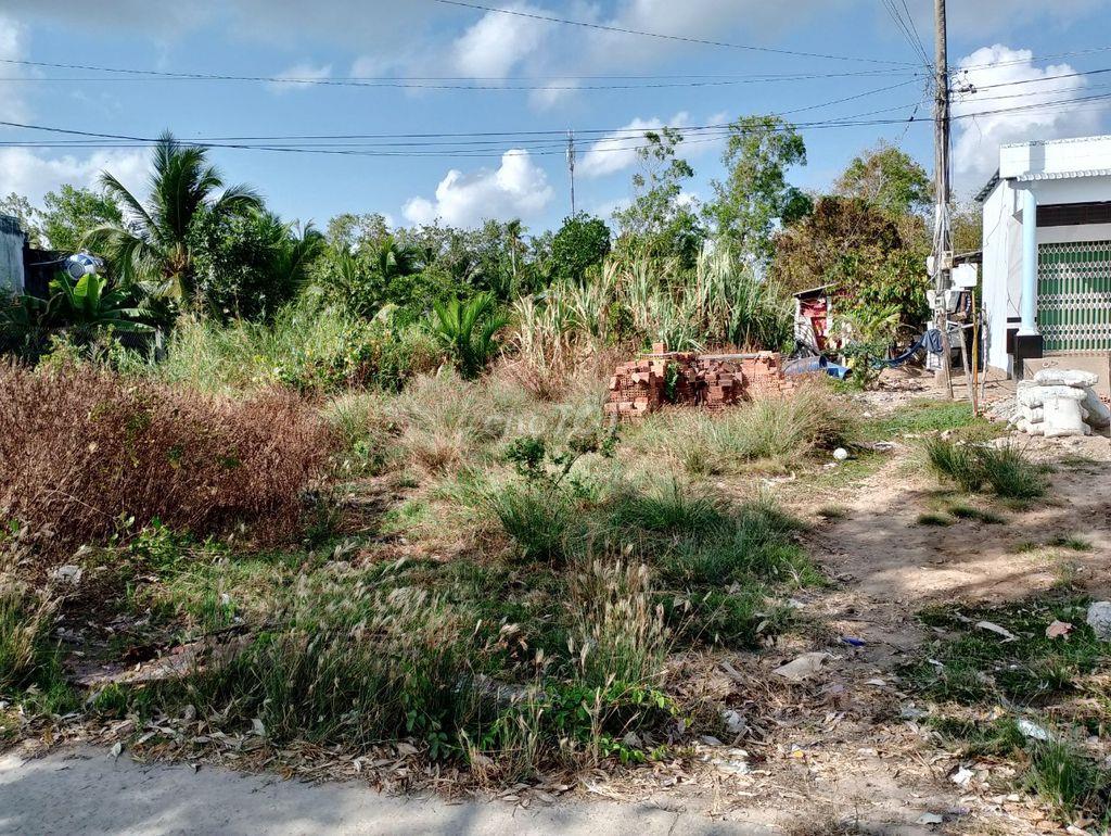Bán đất xã Thạnh Phú tỉnh Cà Mau
