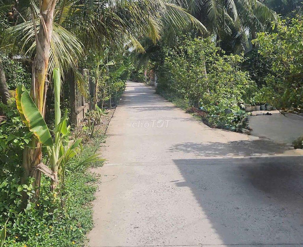 Bán đất xã Thanh Tân tỉnh Bến Tre