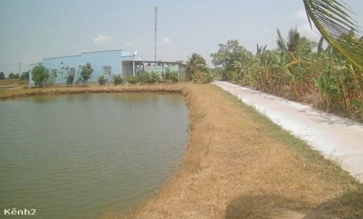 Bán đất thị trấn Hòa Bình, Huyện Hòa Bình, tỉnh Bạc Liêu