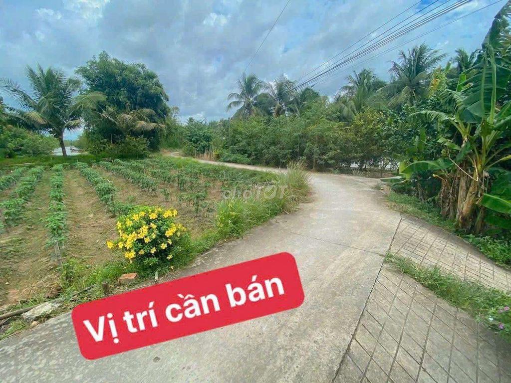 Bán đất xã Xuân Hiệp, Huyện Trà Ôn, tỉnh Vĩnh Long