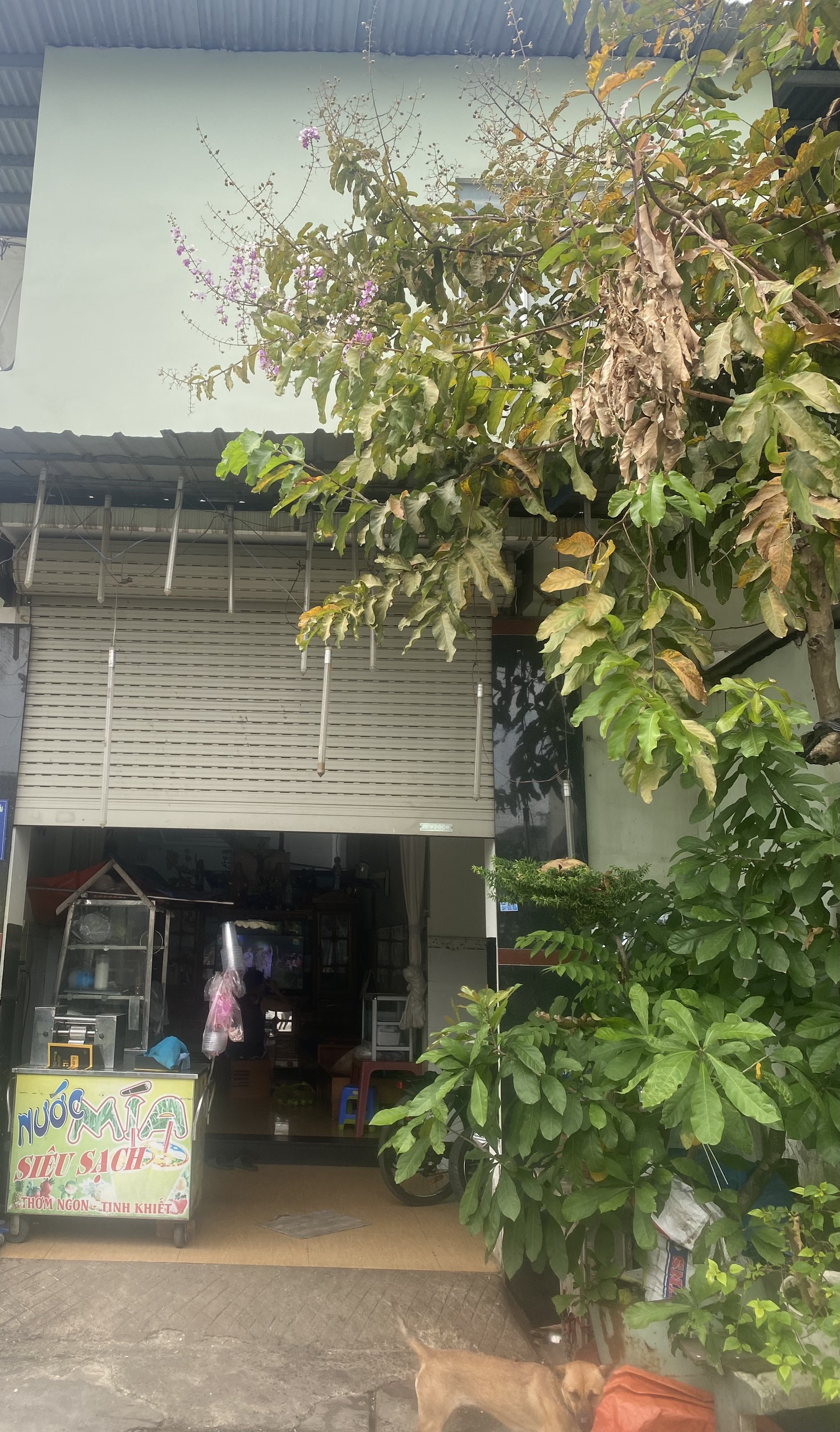 Bán nhà đường Ấp Chiến Lược, phường Bình Hưng Hòa A, quận Bình Tân