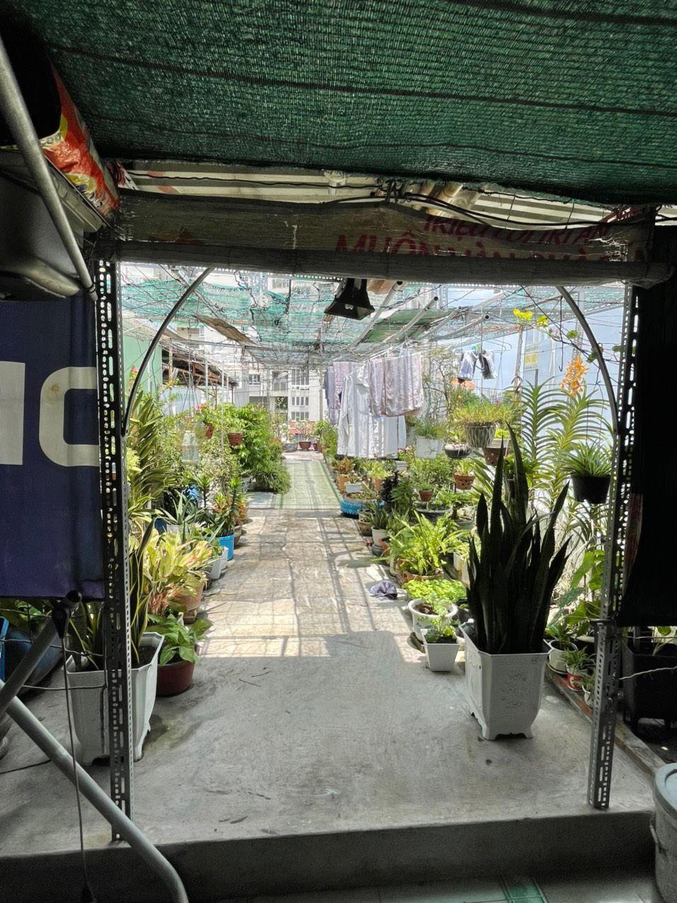 Bán nhà đường Hậu Giang Quận 6
