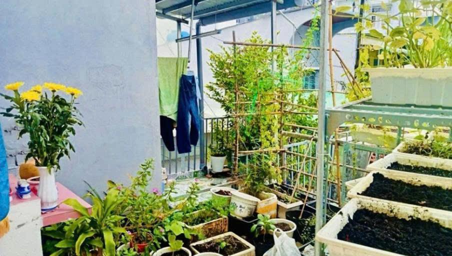Bán nhà đường Hoàng Sỹ Khải Quận 8