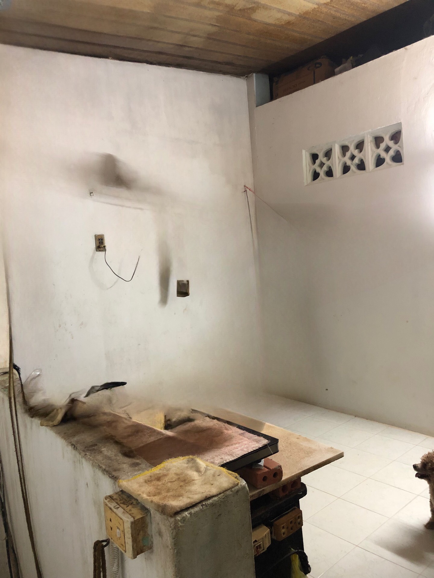 Bán nhà đường Phạm Thế Hiển Quận 8