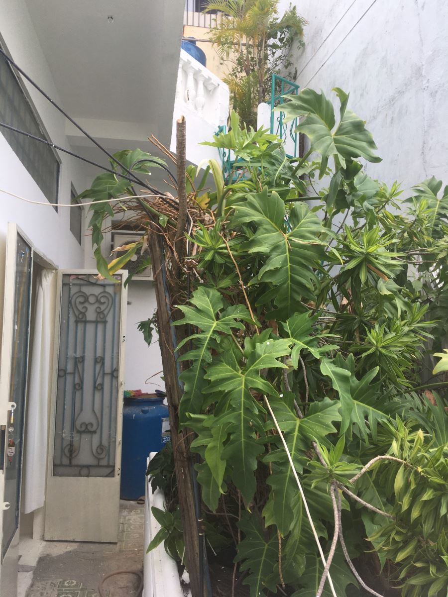 Bán nhà đường Tô Hiến Thành Quận 10