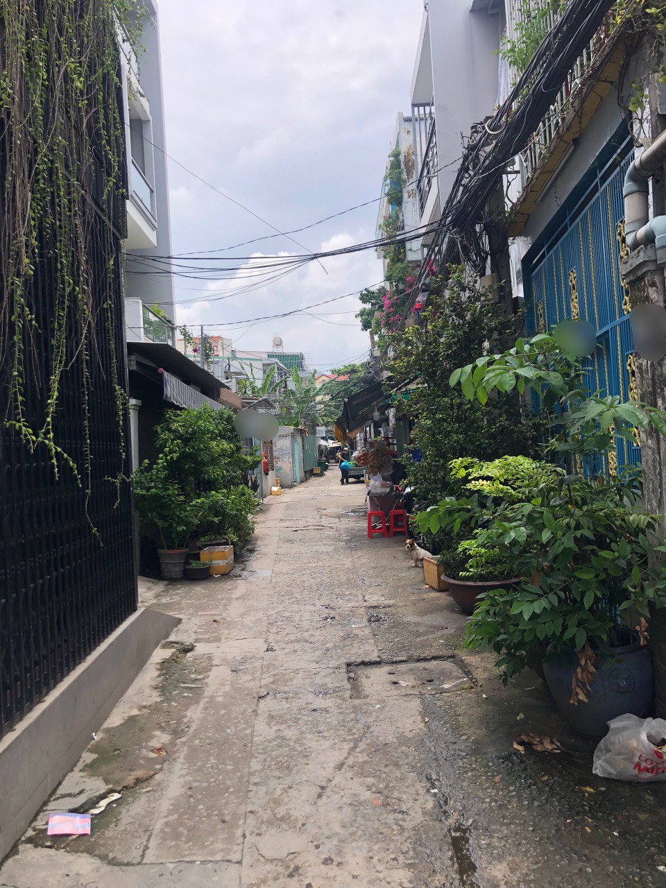 Bán nhà đường Trần Xuân Soạn Quận 7