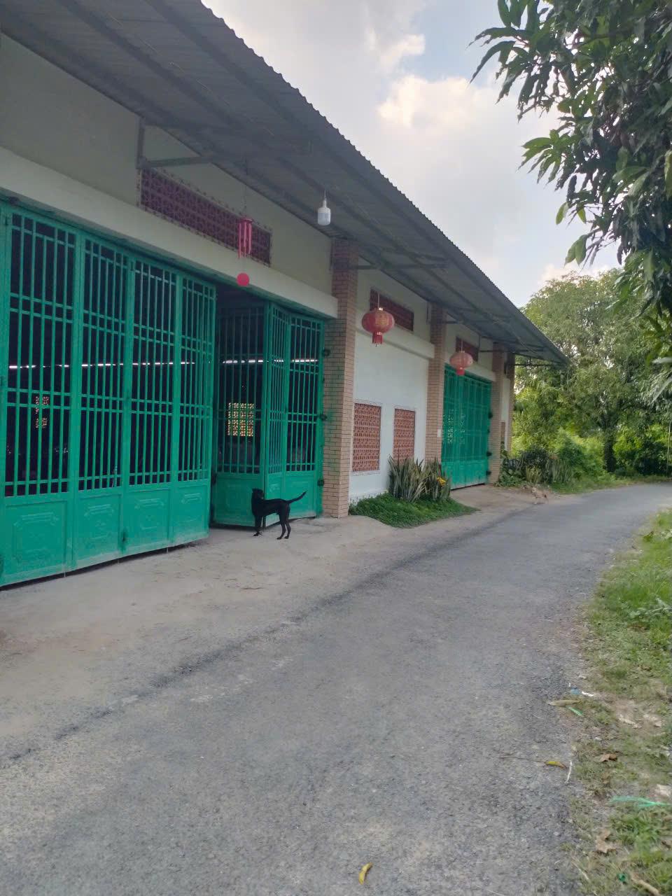 Bán nhà xã Bình Hàng Tây, Thành phố Cao Lãnh, tỉnh Đồng Tháp