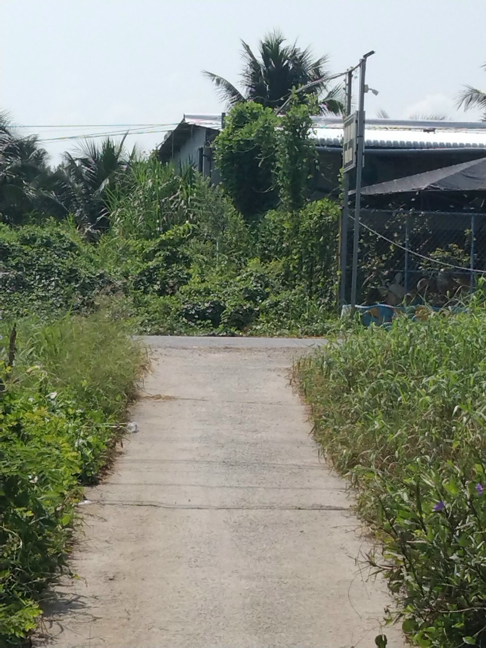 Bán nhà xã Giao Long, Huyện Châu Thành, tỉnh Bến Tre