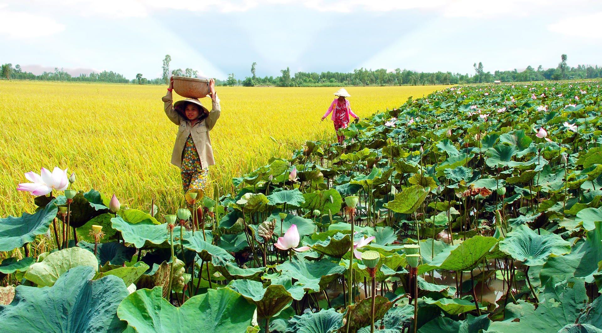 Ký gửi nhà đất Đồng Tháp
